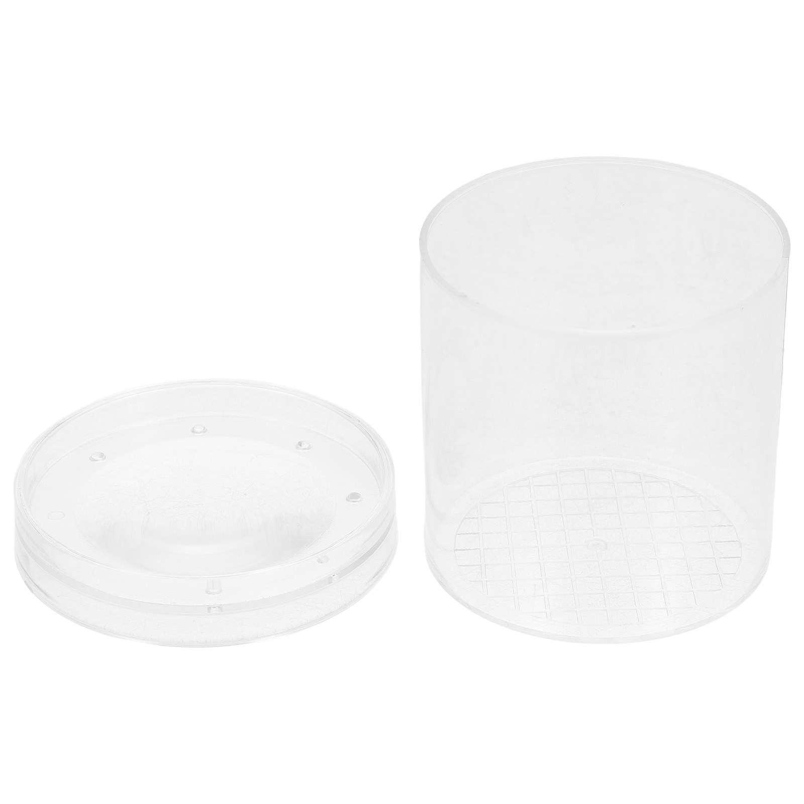 Science Nature - Insect Observation Box 3X Magnifying Lens