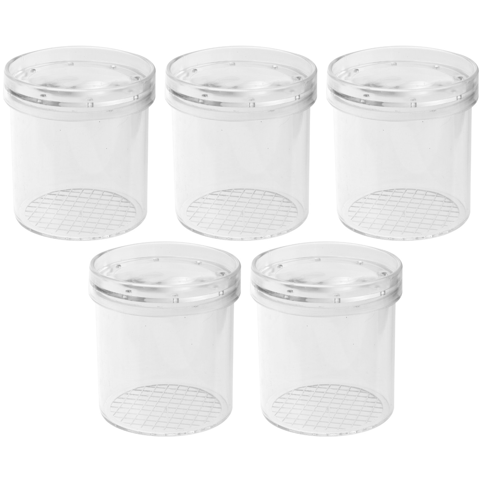 5Pcs Insect Viewer Magnifier f - Science Nature reseña y precio