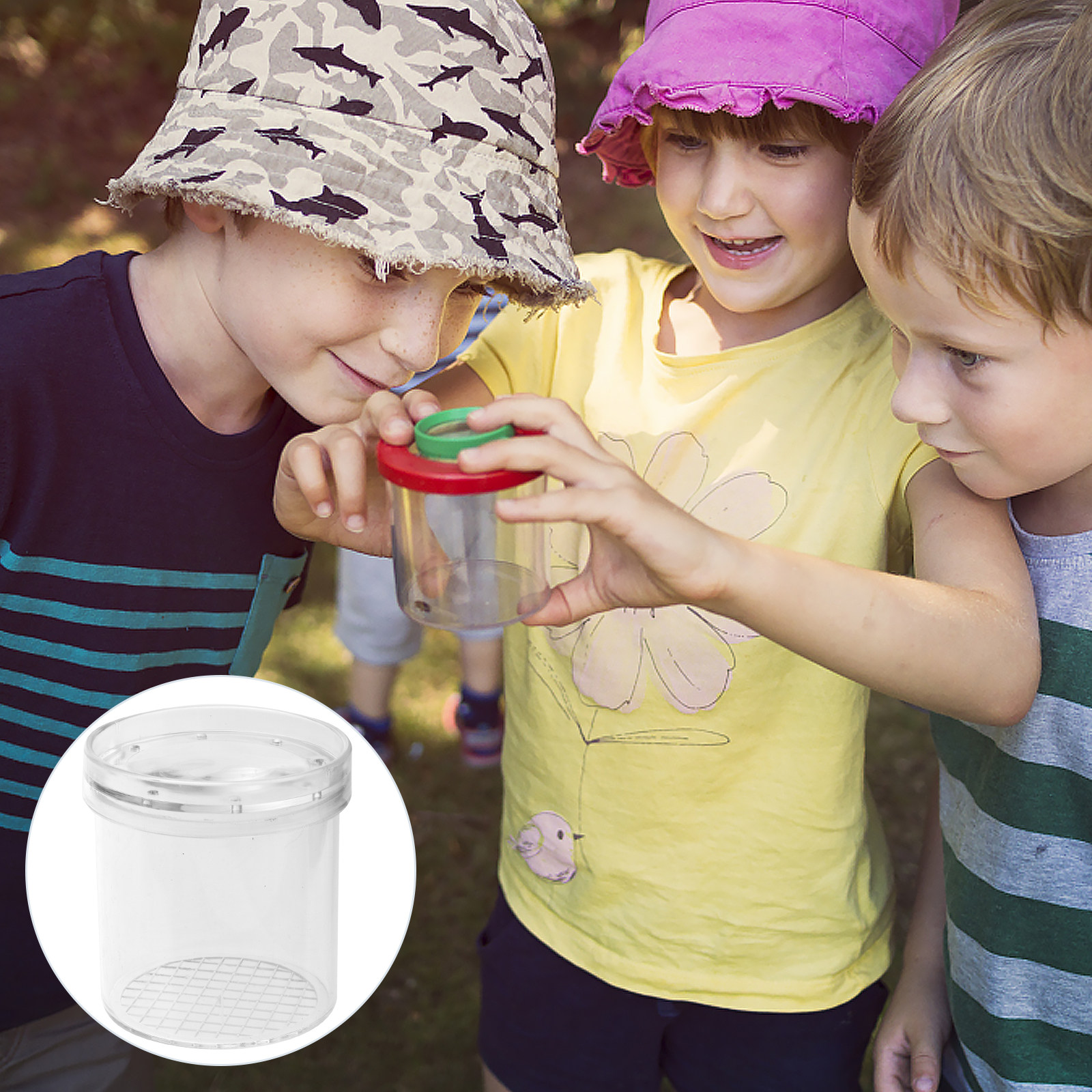 5Pcs Insect Viewer Magnifier f - Science Nature reseña y precio