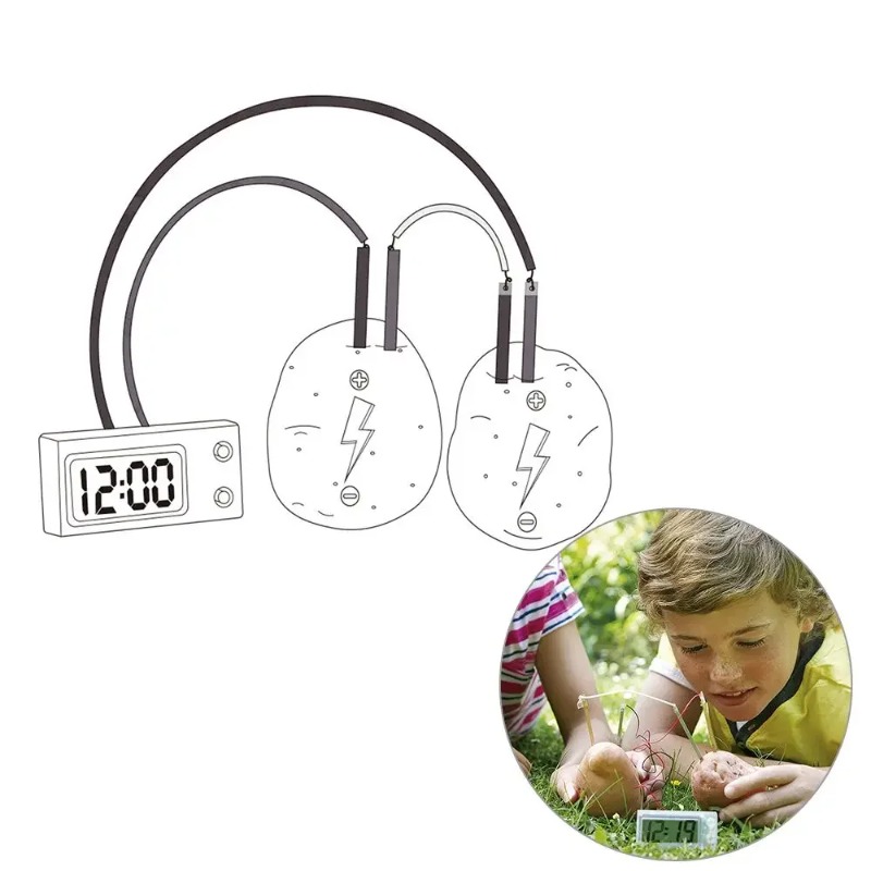 New Kid Montessori Toy Fruit P - Science Nature reseña y precio