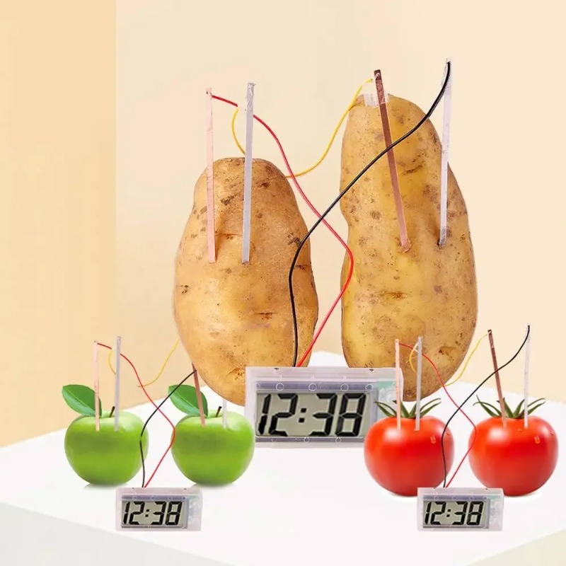 New Kid Montessori Toy Fruit P - Science Nature reseña y precio