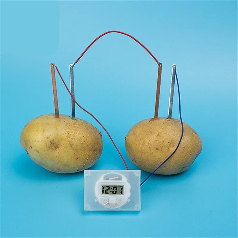 New Kid Montessori Toy Fruit P - Science Nature reseña y precio