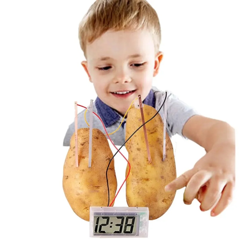 New Kid Montessori Toy Fruit P - Science Nature reseña y precio
