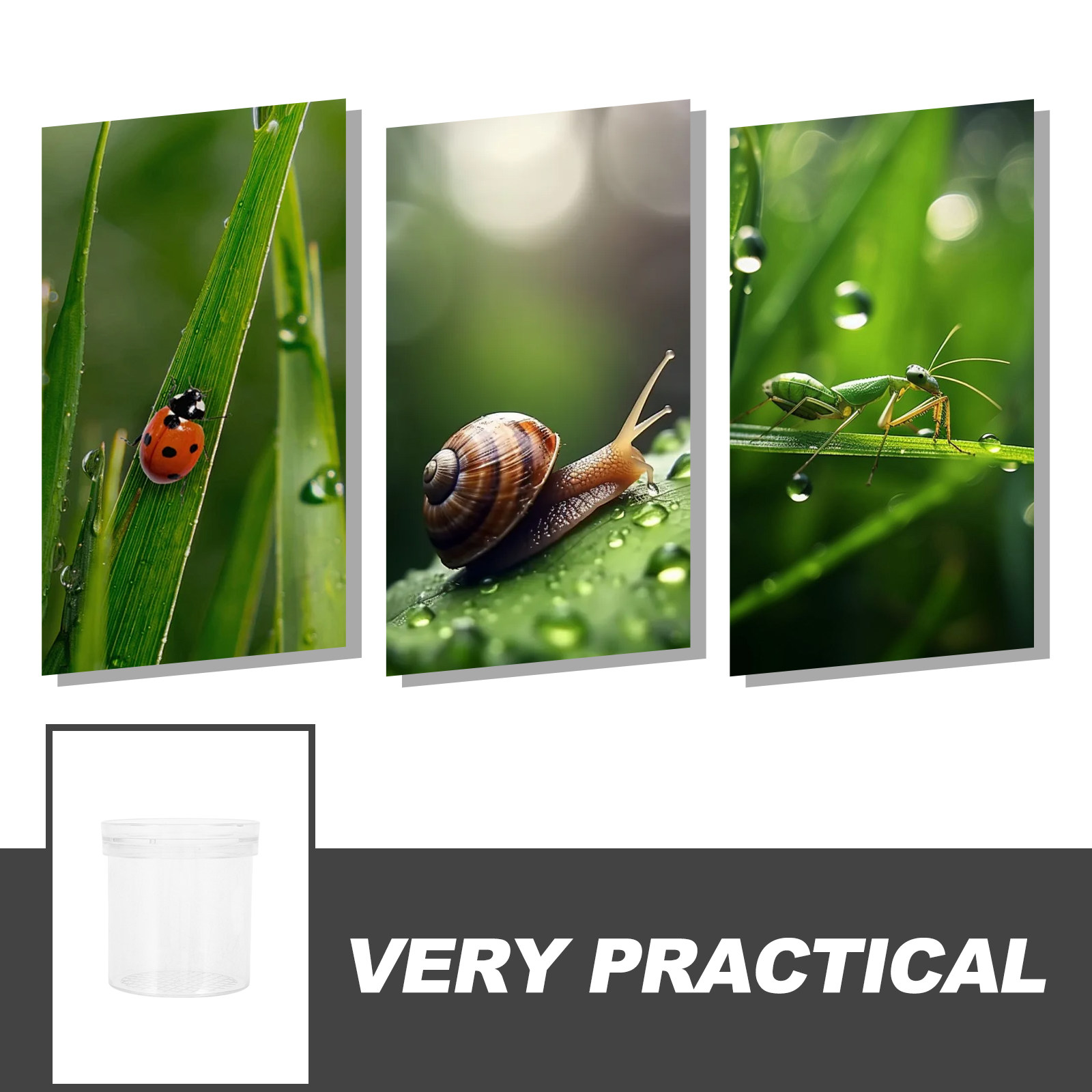 Insect Observation Box 3X Magn - Science Nature reseña y precio