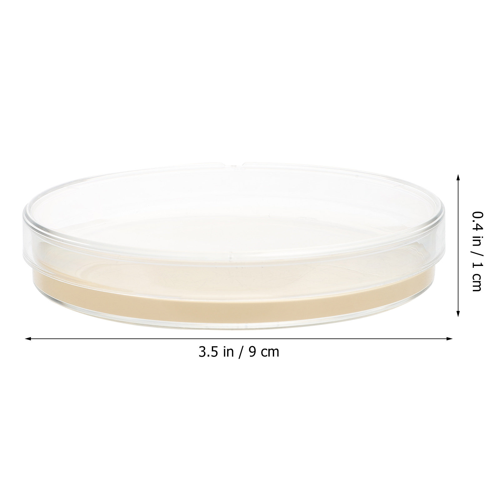 10pcs Nutrient Agar Plates Pre - Science Project reseña y precio