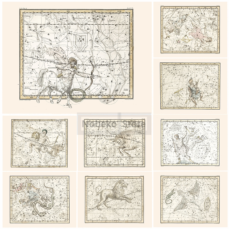 Zodiac Map Astrology Map Poste - Star Map Poster reseña y precio