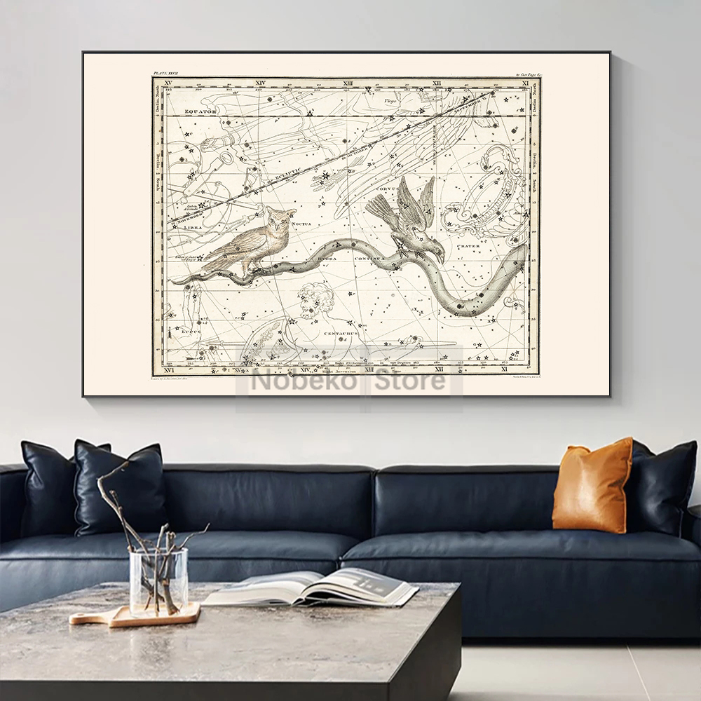 Zodiac Map Astrology Map Poste - Star Map Poster reseña y precio