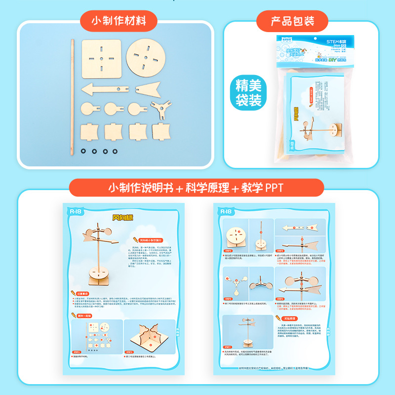 DIY FWind Vane Model Science T - Science Project reseña y precio