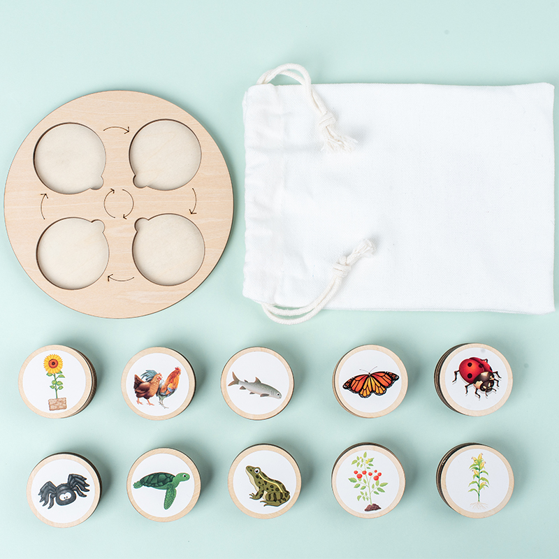 Life Cycle Board Montessori Ki - Science Nature reseña y precio