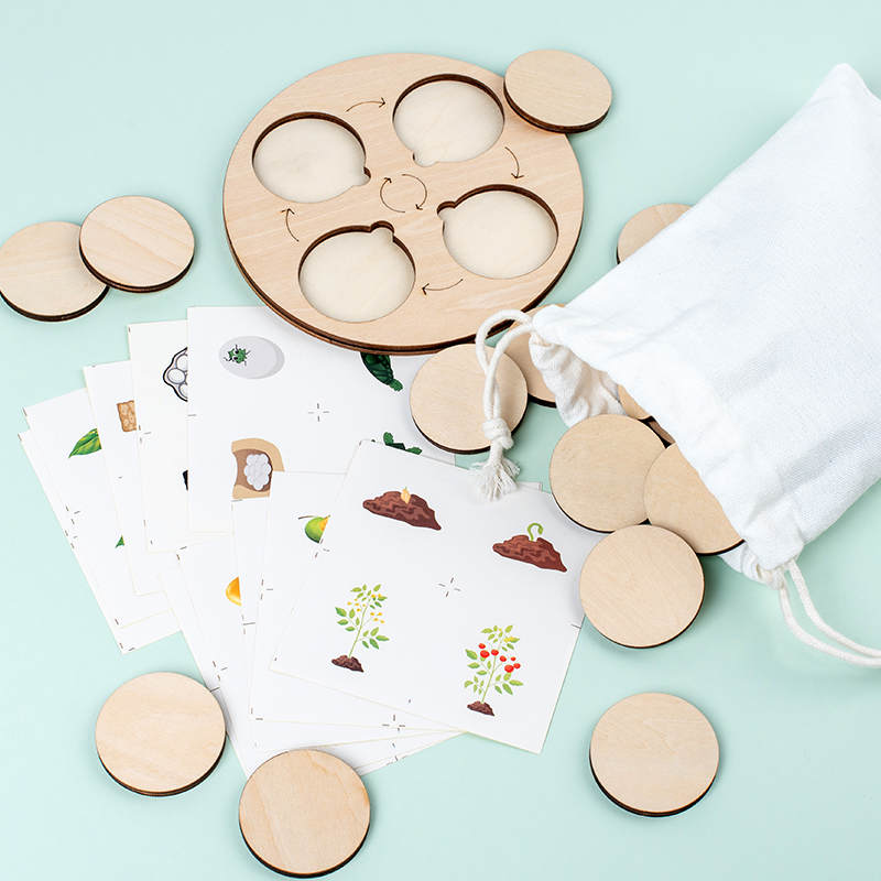 Life Cycle Board Montessori Ki - Science Nature reseña y precio