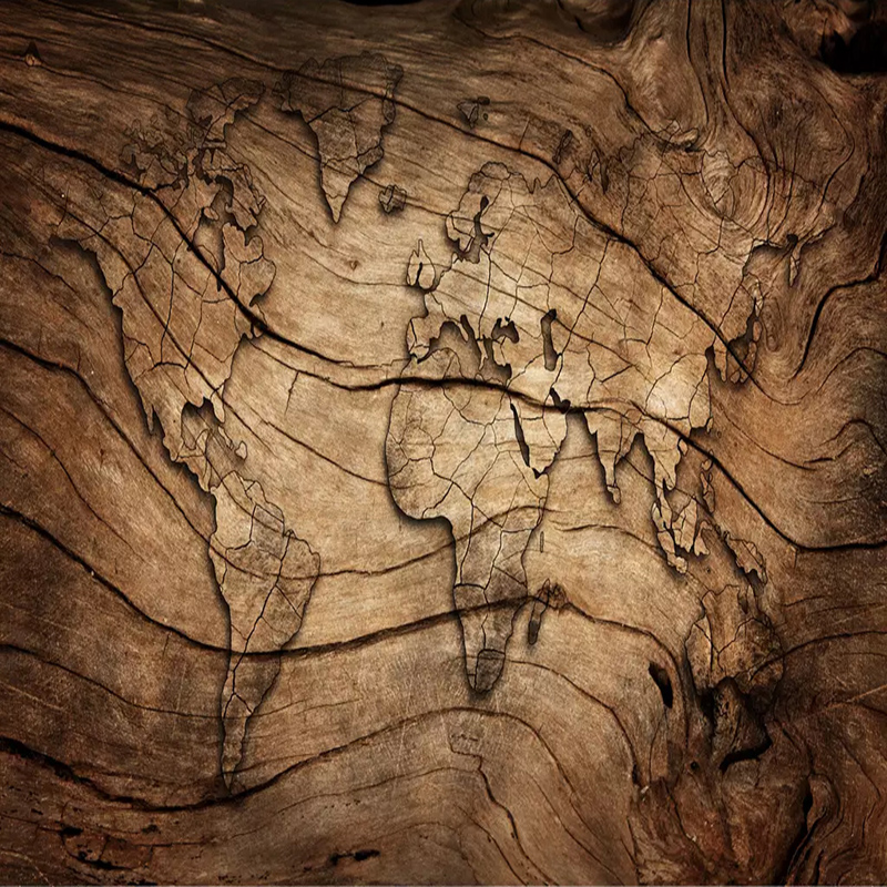 Custom Any Size Mural Wallpape - Star Map Poster reseña y precio
