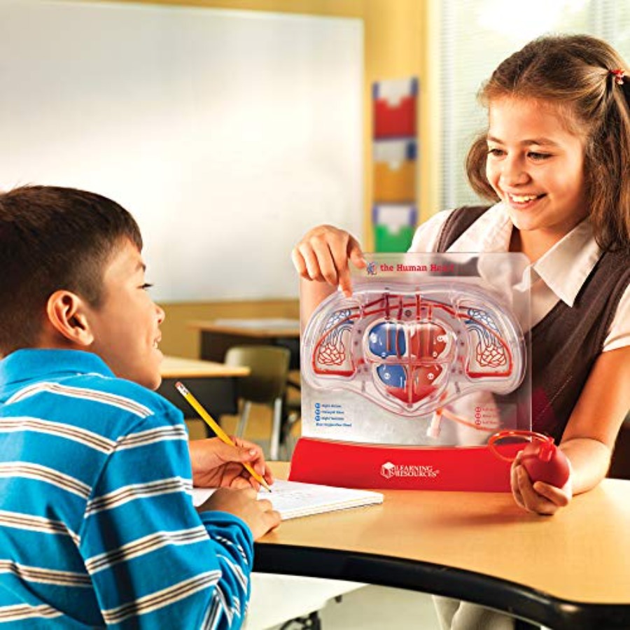 Science classroom STEM anatomy - Science Nature reseña y precio