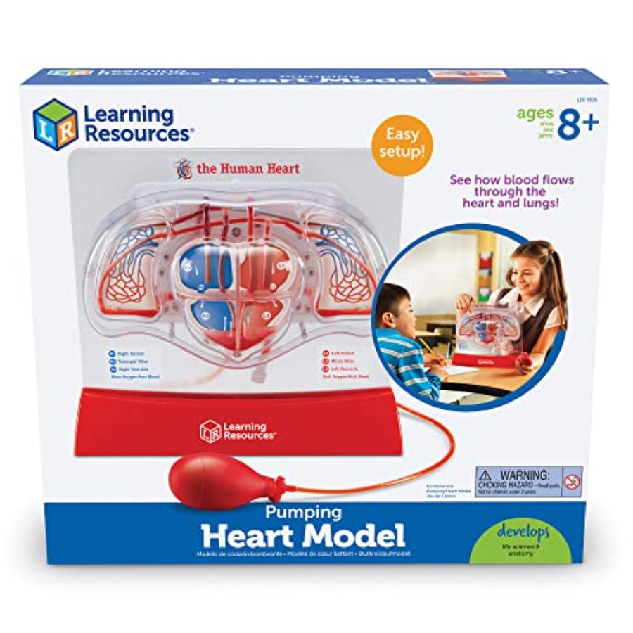 Science classroom STEM anatomy - Science Nature reseña y precio
